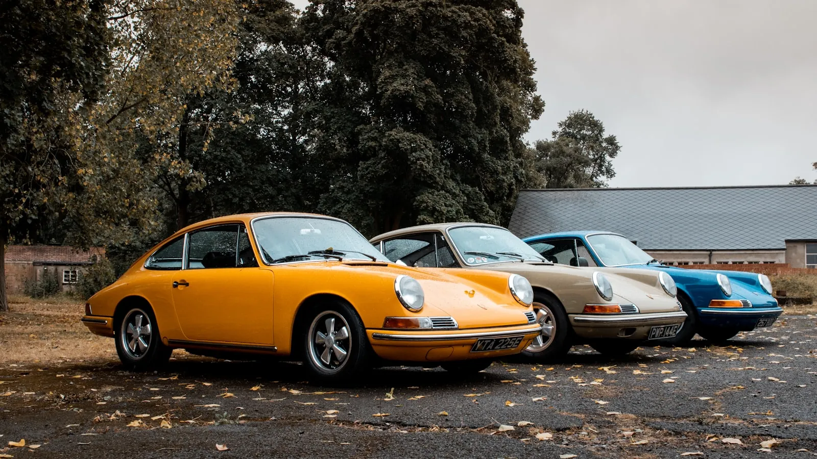 Reihe klassischer Sportwagen im Herbstlaub